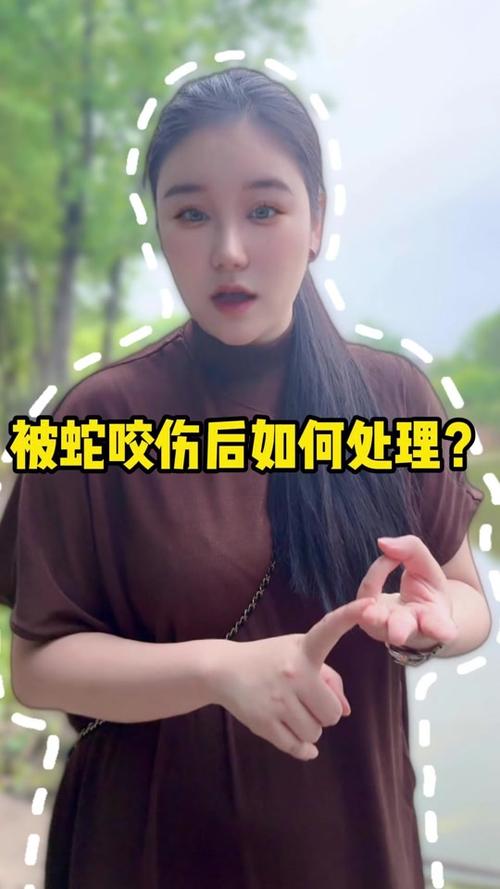 管家婆正版管家和被蛇咬反抓蛇再遭咬与被蛇咬反抓蛇再遭咬伤