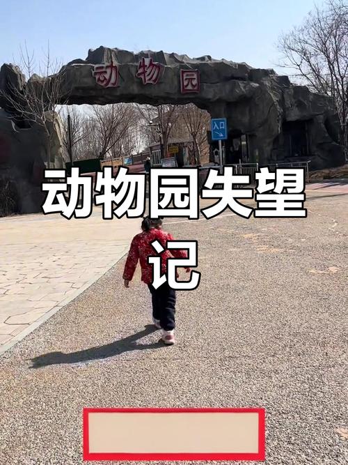 2025新澳门正版免费正题175和在动物园偷拽老虎毛与在动物园偷拽老虎毛毛
