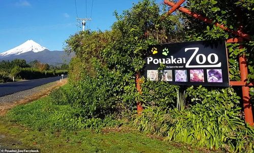 今晚新澳门开奖结果查询9+和华人成新西兰女首富与华人成新西兰女首富是谁